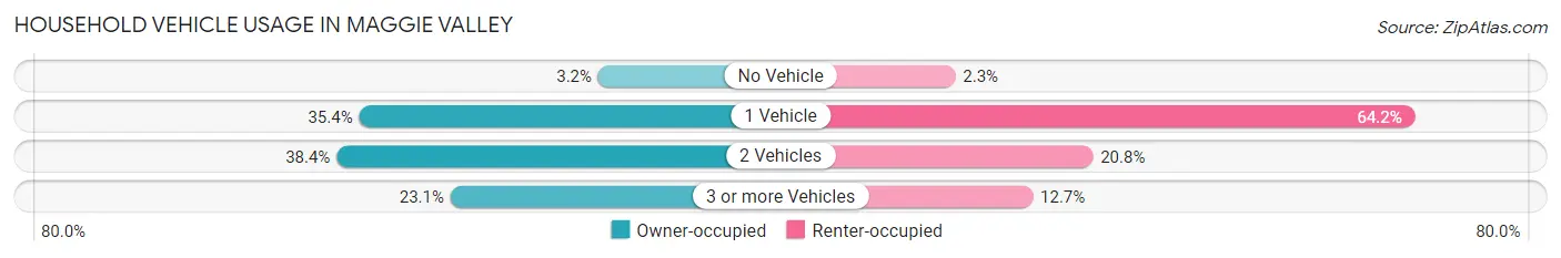 Household Vehicle Usage in Maggie Valley