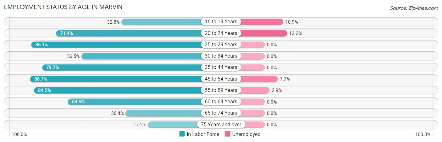 Employment Status by Age in Marvin