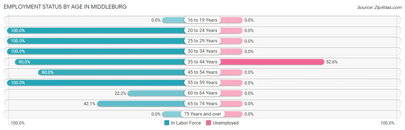 Employment Status by Age in Middleburg