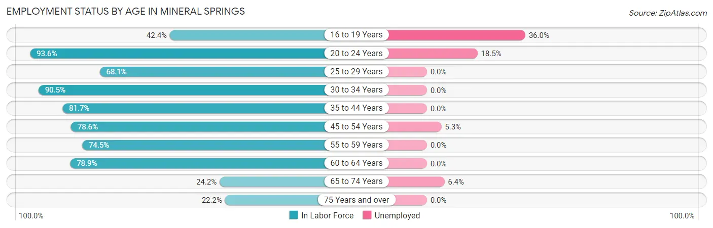 Employment Status by Age in Mineral Springs