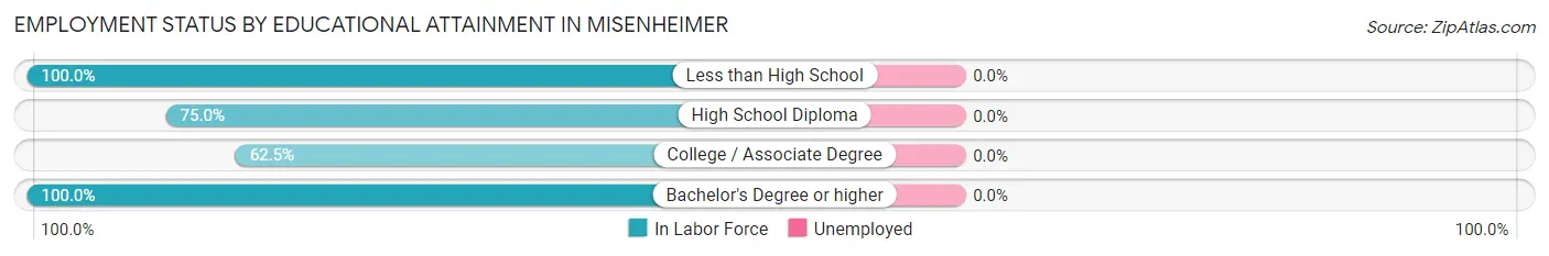 Employment Status by Educational Attainment in Misenheimer