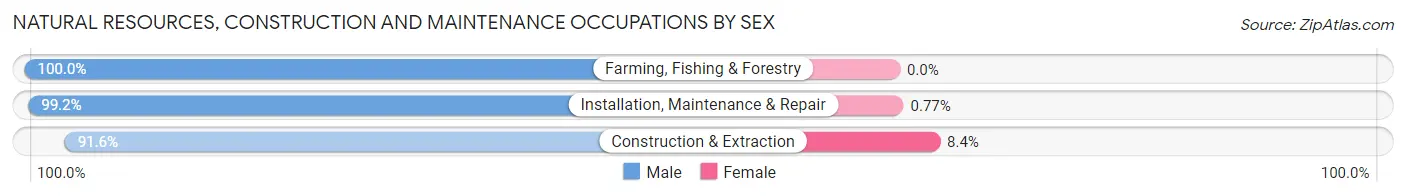 Natural Resources, Construction and Maintenance Occupations by Sex in Mooresville