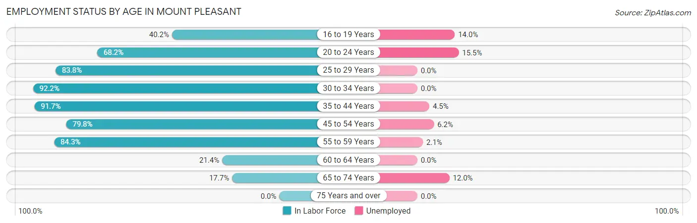 Employment Status by Age in Mount Pleasant