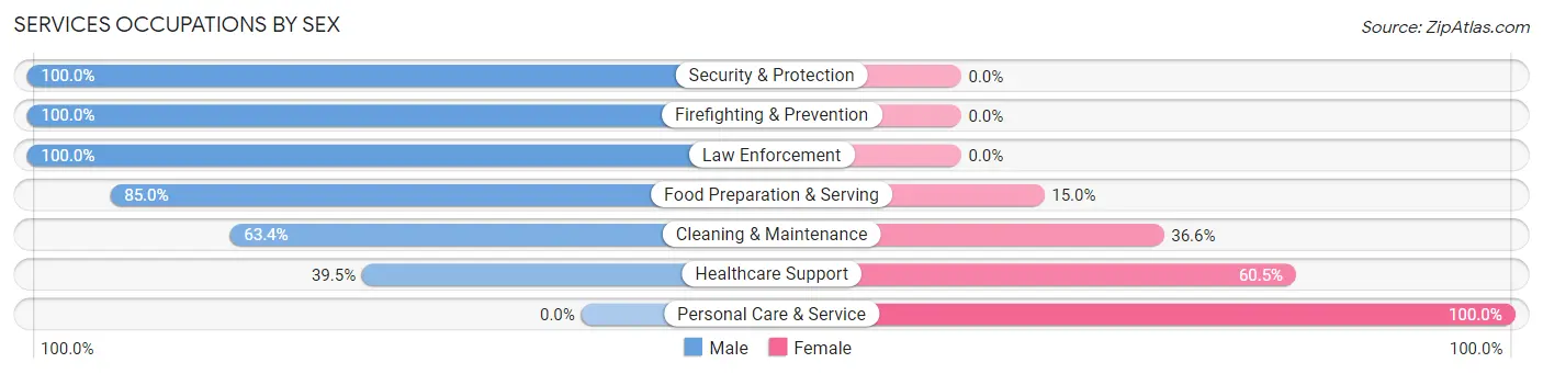 Services Occupations by Sex in Mount Pleasant