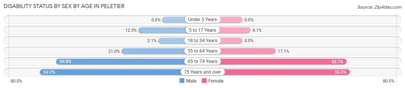 Disability Status by Sex by Age in Peletier