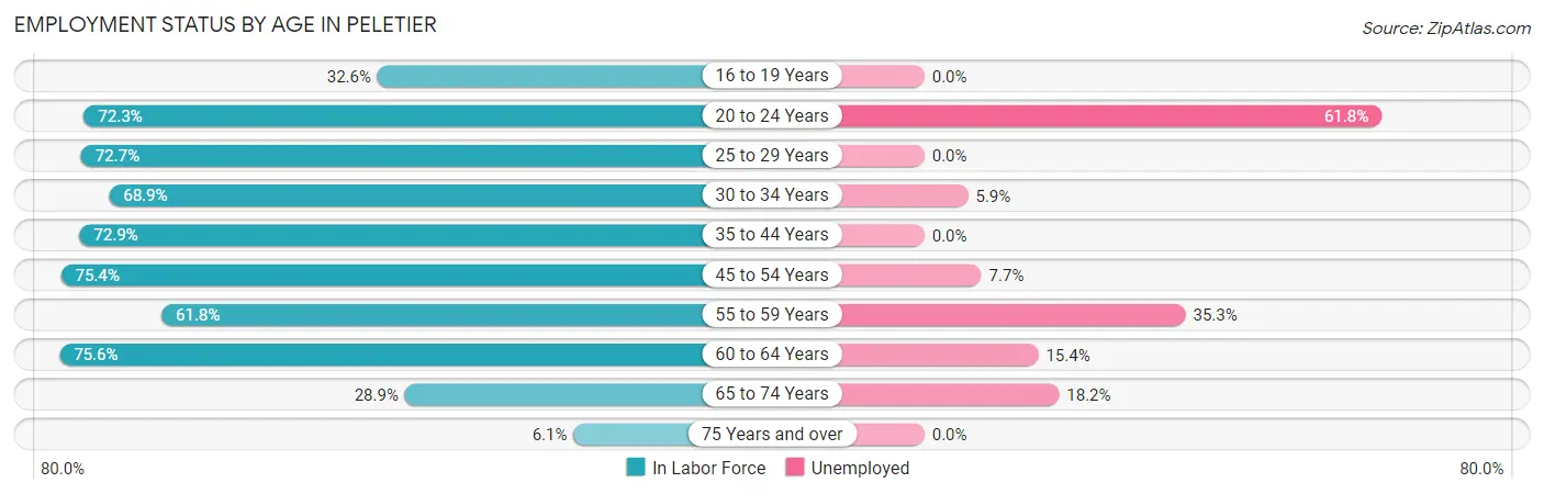 Employment Status by Age in Peletier