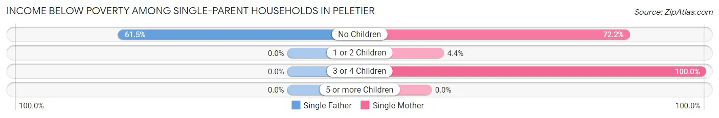 Income Below Poverty Among Single-Parent Households in Peletier