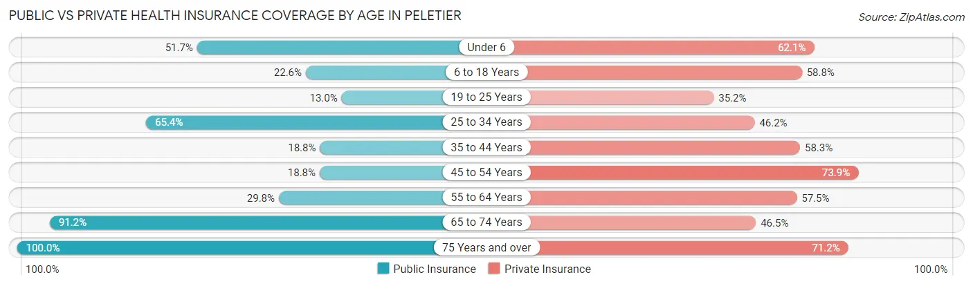 Public vs Private Health Insurance Coverage by Age in Peletier