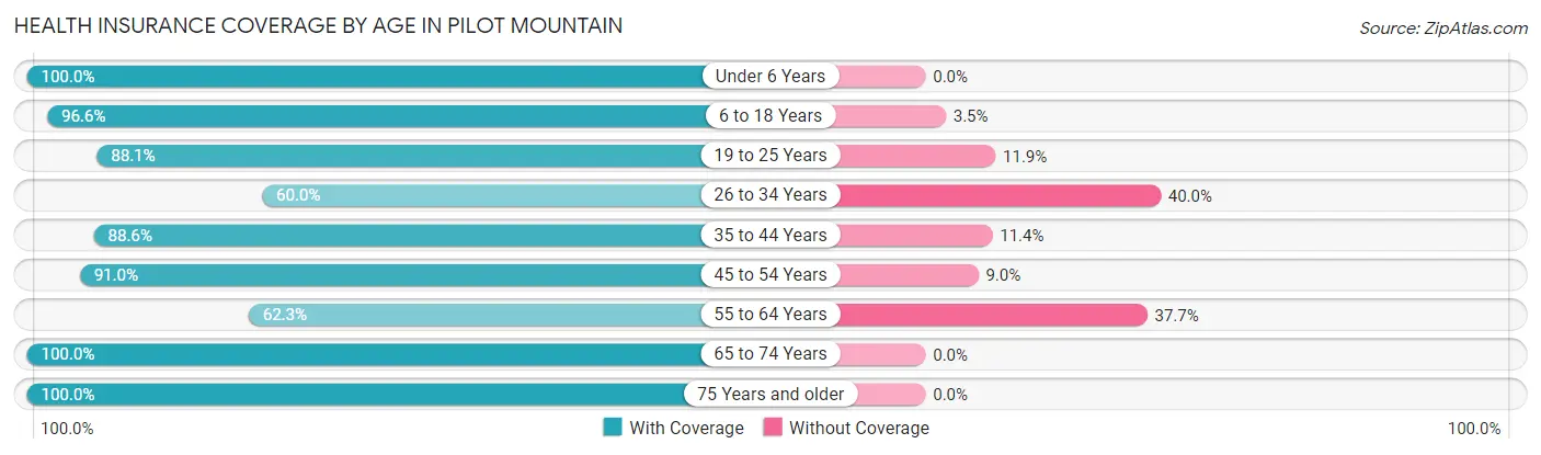 Health Insurance Coverage by Age in Pilot Mountain