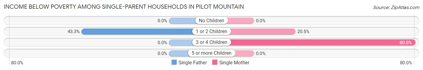 Income Below Poverty Among Single-Parent Households in Pilot Mountain