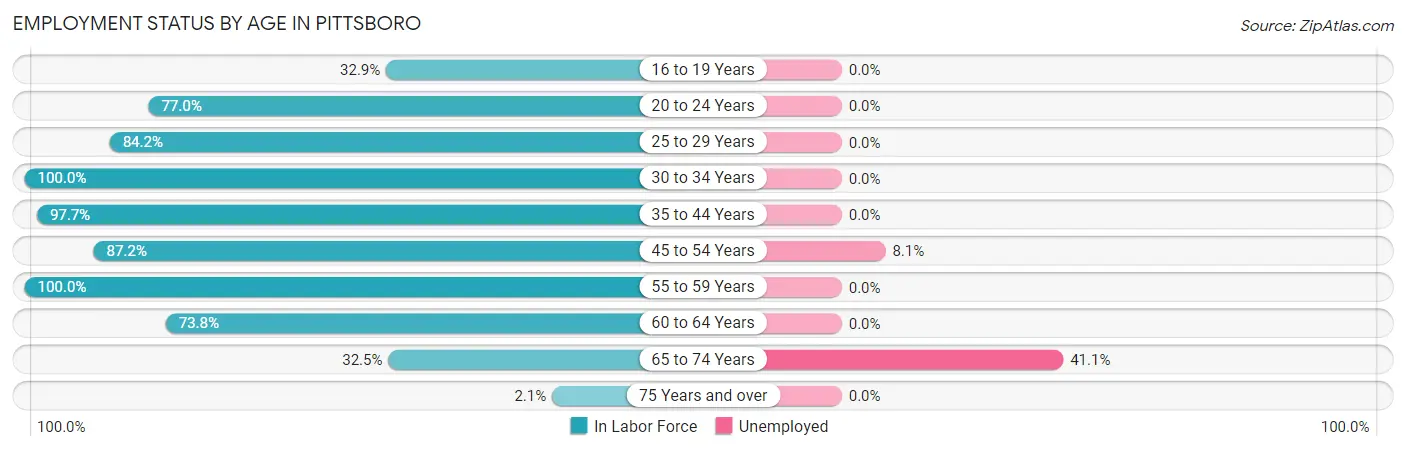 Employment Status by Age in Pittsboro