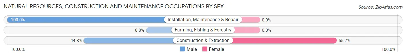 Natural Resources, Construction and Maintenance Occupations by Sex in Porters Neck