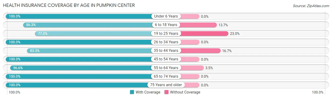 Health Insurance Coverage by Age in Pumpkin Center