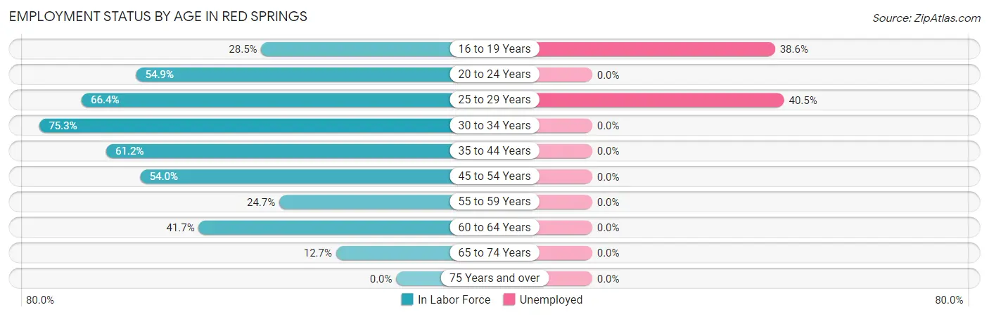 Employment Status by Age in Red Springs