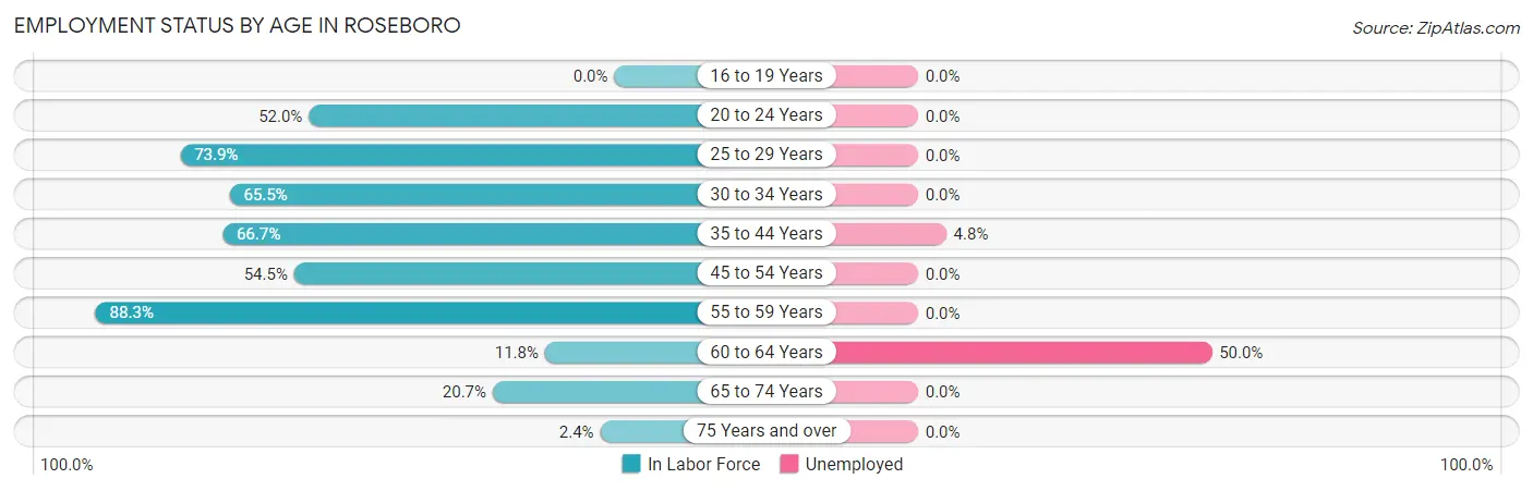 Employment Status by Age in Roseboro