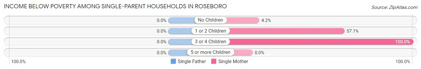 Income Below Poverty Among Single-Parent Households in Roseboro