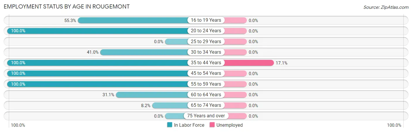 Employment Status by Age in Rougemont