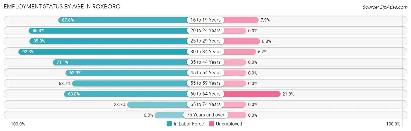 Employment Status by Age in Roxboro
