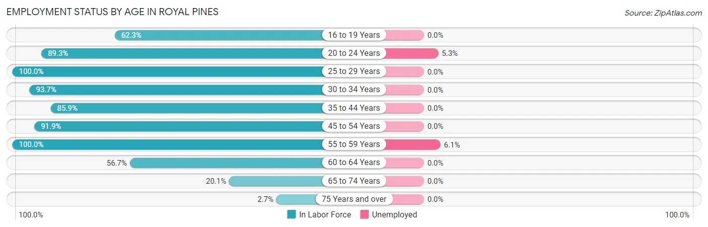 Employment Status by Age in Royal Pines