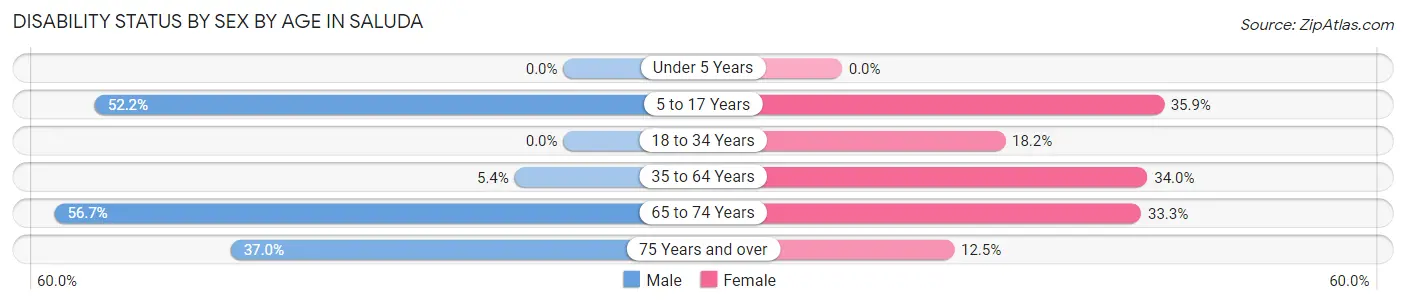Disability Status by Sex by Age in Saluda