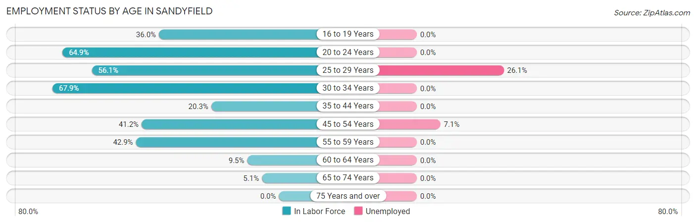 Employment Status by Age in Sandyfield