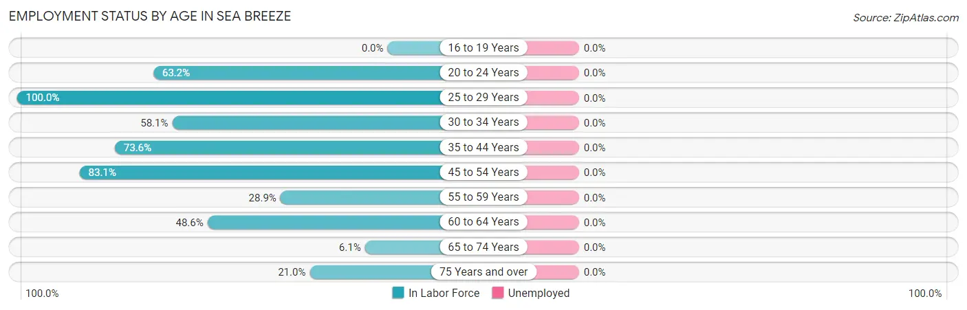 Employment Status by Age in Sea Breeze
