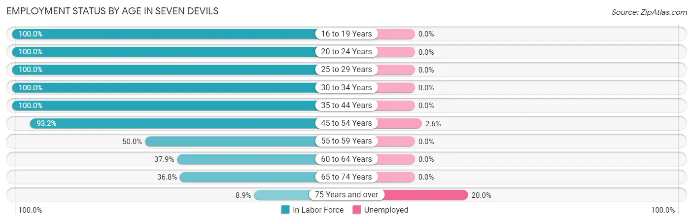 Employment Status by Age in Seven Devils