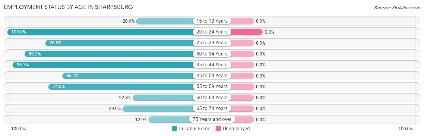 Employment Status by Age in Sharpsburg