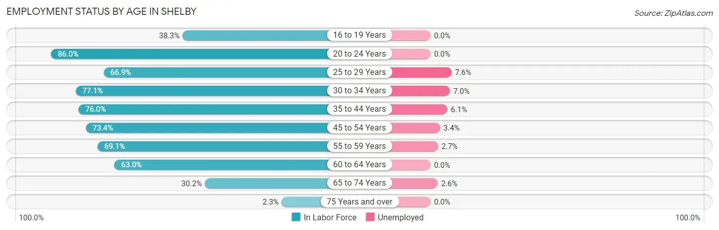 Employment Status by Age in Shelby