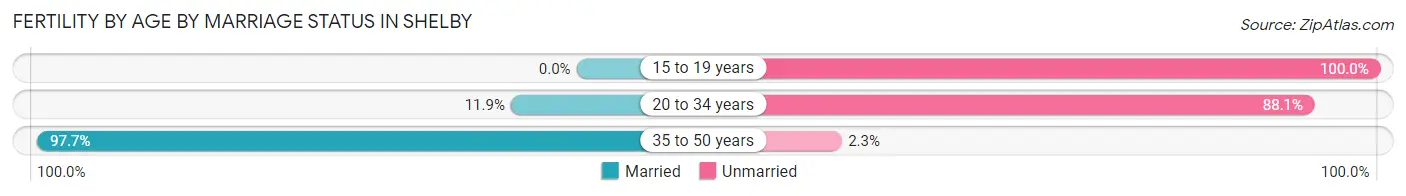 Female Fertility by Age by Marriage Status in Shelby