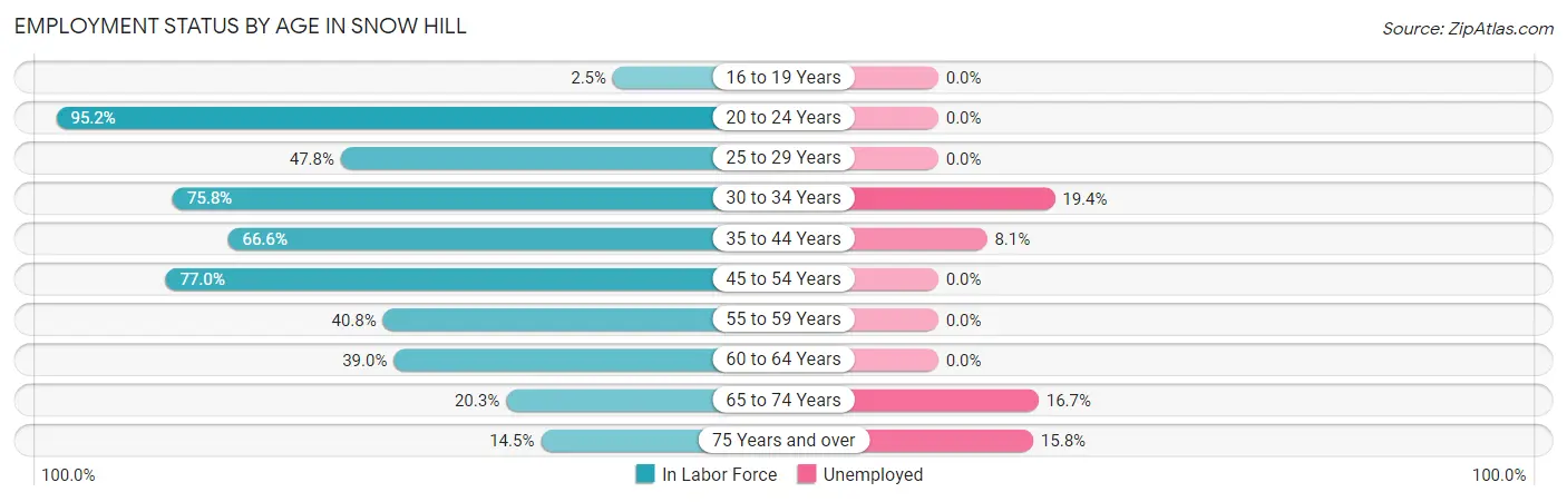 Employment Status by Age in Snow Hill