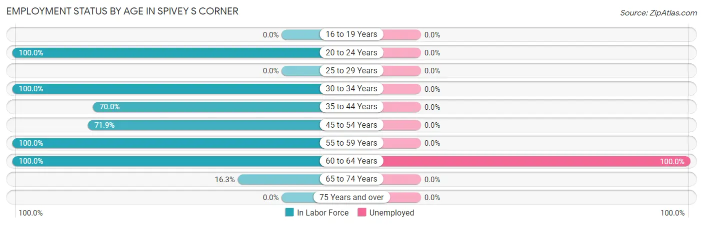 Employment Status by Age in Spivey s Corner
