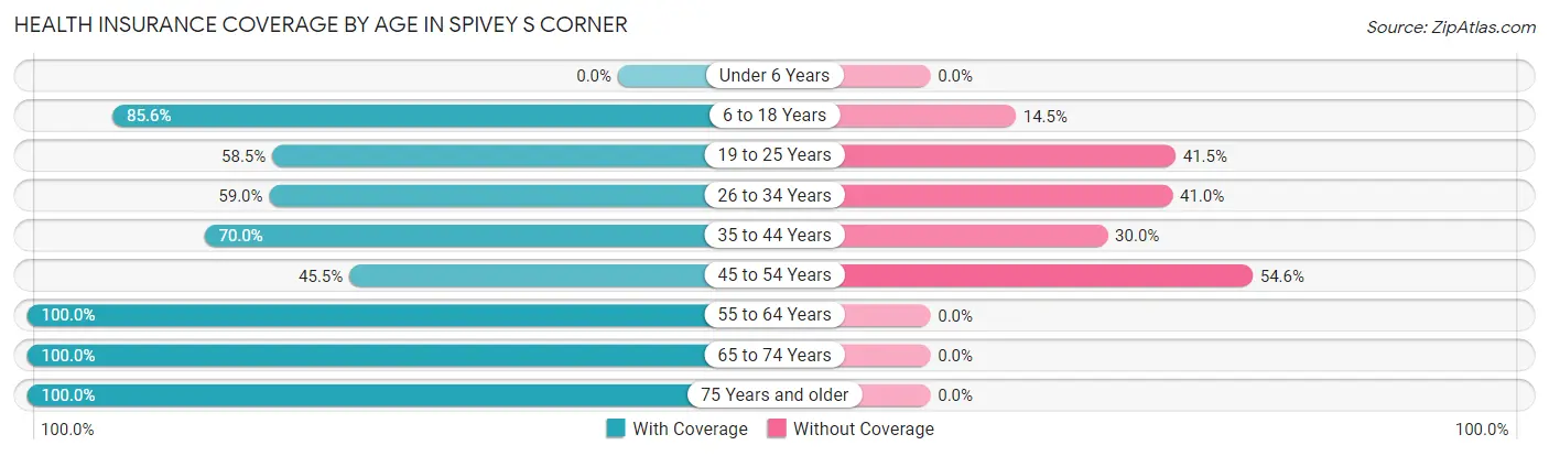 Health Insurance Coverage by Age in Spivey s Corner