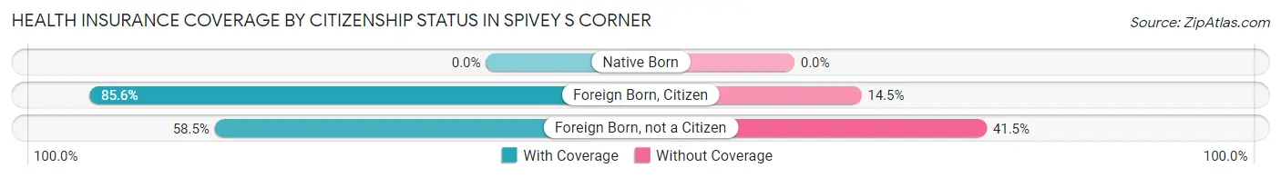 Health Insurance Coverage by Citizenship Status in Spivey s Corner