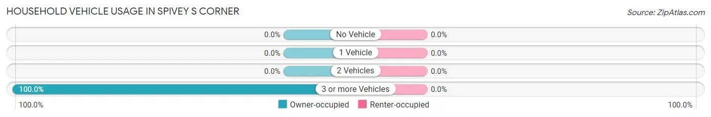 Household Vehicle Usage in Spivey s Corner