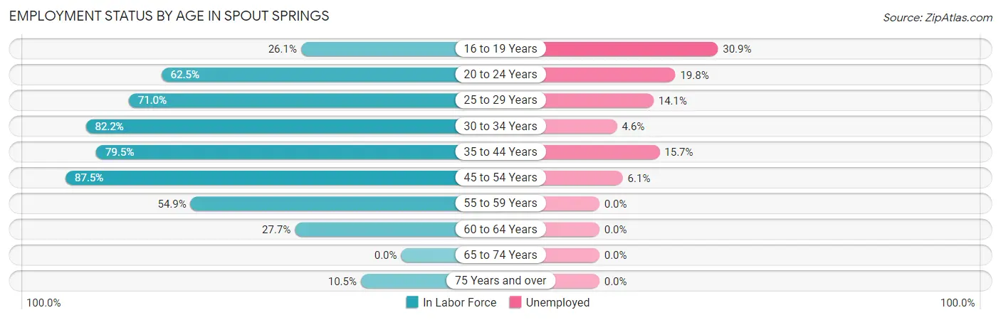 Employment Status by Age in Spout Springs