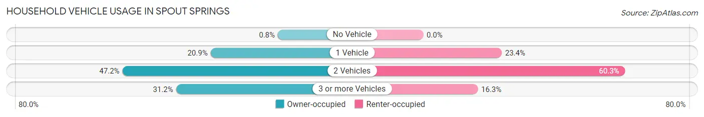 Household Vehicle Usage in Spout Springs