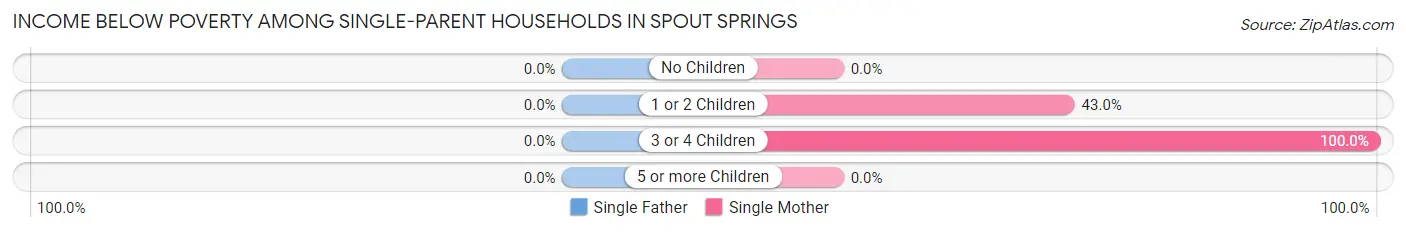 Income Below Poverty Among Single-Parent Households in Spout Springs