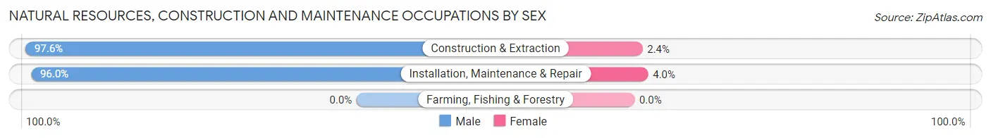 Natural Resources, Construction and Maintenance Occupations by Sex in Stallings