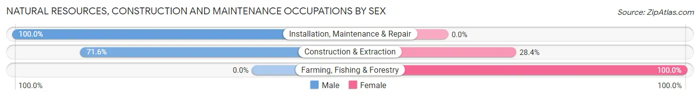 Natural Resources, Construction and Maintenance Occupations by Sex in Stanley