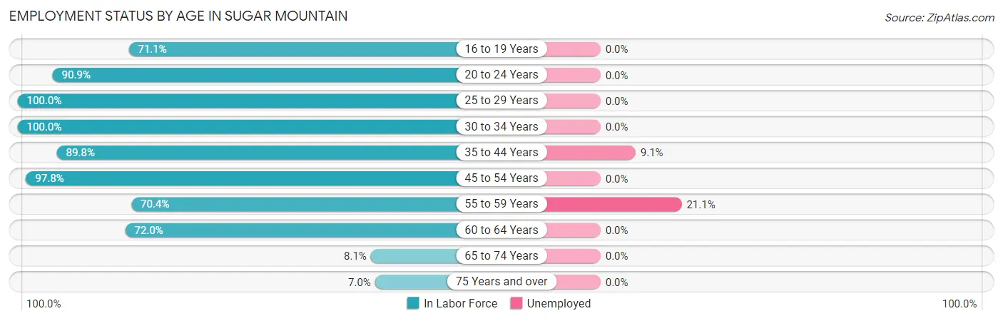 Employment Status by Age in Sugar Mountain