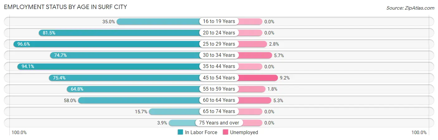 Employment Status by Age in Surf City