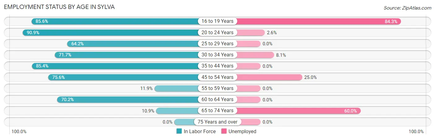 Employment Status by Age in Sylva