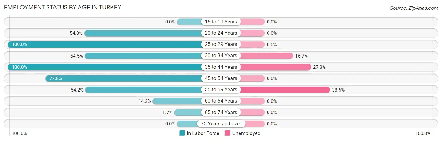 Employment Status by Age in Turkey