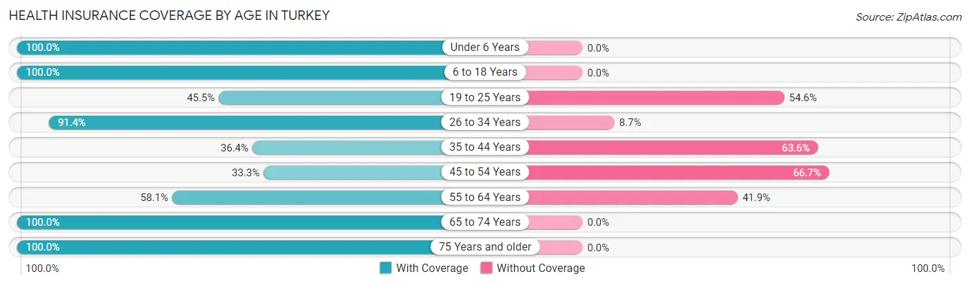 Health Insurance Coverage by Age in Turkey
