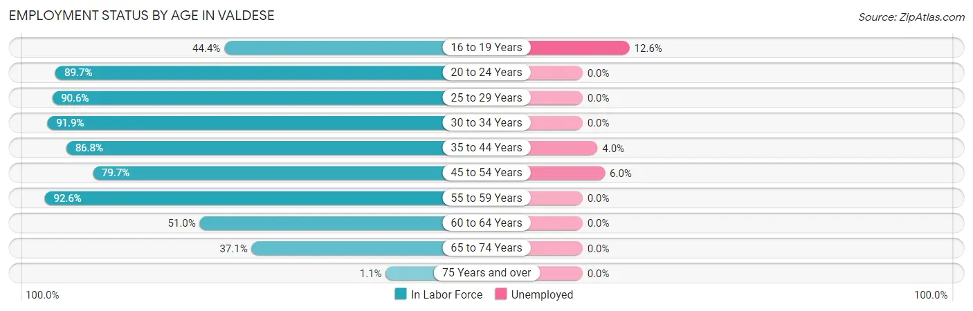 Employment Status by Age in Valdese