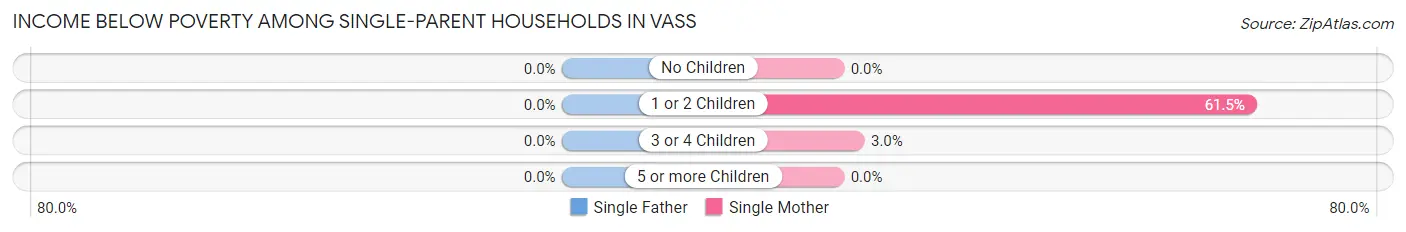 Income Below Poverty Among Single-Parent Households in Vass