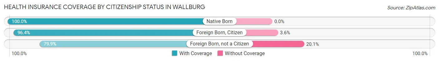 Health Insurance Coverage by Citizenship Status in Wallburg