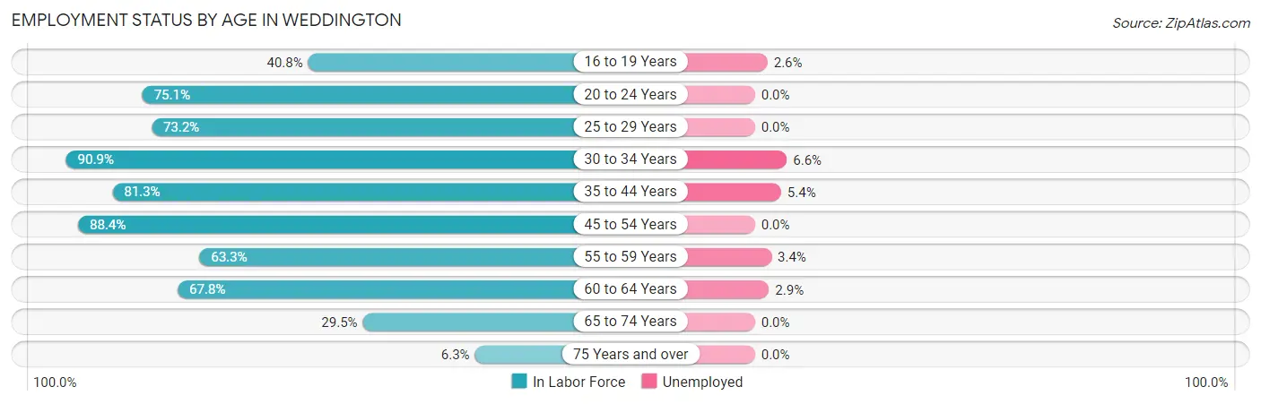 Employment Status by Age in Weddington