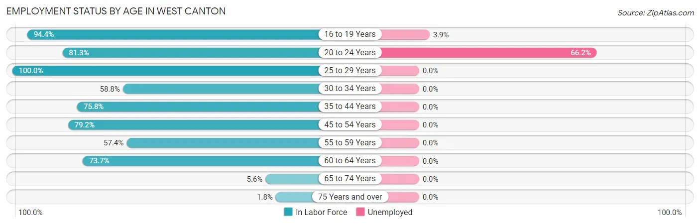 Employment Status by Age in West Canton